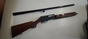 Browning 2000